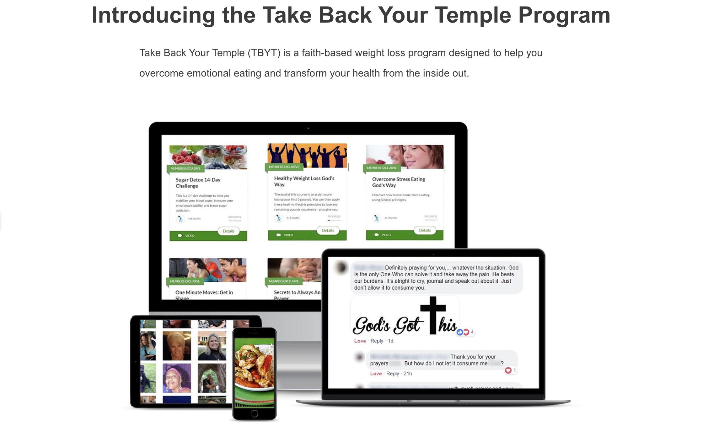 introducing take back your temple